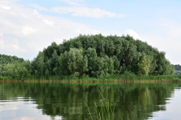 Obraz premium Lush Island Reflected in Tranquil Lake copy space
