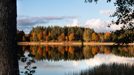Fototapeta premium Vibrant autumn trees reflecting in the still water of a lake