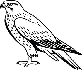 Obraz premium Hawk icon silhouette in details single icon