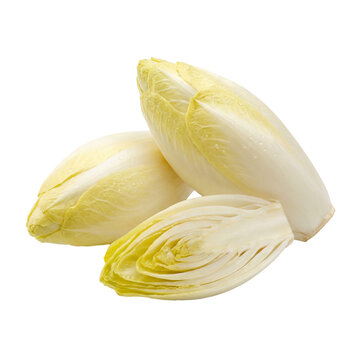 Fresh Belgian endive shown whole and sliced, revealing pale yellow layered leaves with crisp texture and moisture droplets. Clean vegetable photography for healthy cooking concepts.