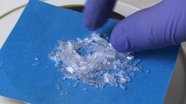 Chemist in nitrile gloves weighing menthol crystals