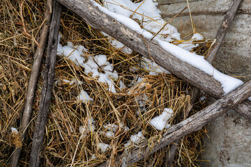Close-up of Golden Hay and Dry Straw Partially Covered with Fresh Winter Snow, Agricultural Background Showing Forage Storage in Cold Weather