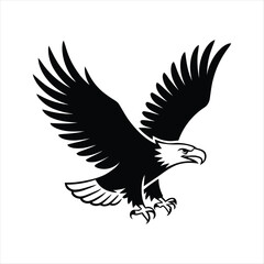 Obraz premium Bald eagle flying wings spread black white illustration freedom power
