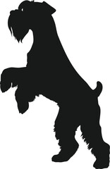 Schnauzer silhouette, Schnauzer outline, Schnauzer shape, Schnauzer icon, Schnauzer dog, Terrier silhouette, Terrier outline, Pet silhouette, Puppy silhouette, Animal silhouette