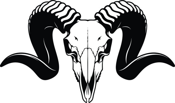 Black and white illustration of a ram skull with curved horns
