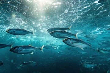 Fototapeta premium Sardine fish swimming gracefully underwater in the ocean during daylight
