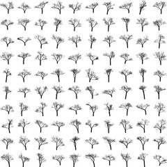 Leafless Tree Silhouette Bundle Vector Illustration for Minimalist Art, Book Covers, Wall Prints, Isolated on White Background.