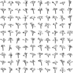 Winter Tree Silhouette Set Vector Illustration for Nature Branding, Editorial Layouts, Graphic Design, Isolated on White Background.