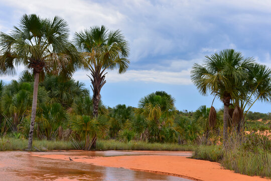 O conjunto de dunas &eacute; formado pela eros&atilde;o das rochas de arenito que formam a Serra do Esp&iacute;rito Santo. Com a a&ccedil;&atilde;o do vento e uma conjun&ccedil;&atilde;o perfeita de fatores, a areia &eacute; depositada sempre no mesmo loca