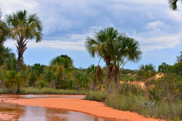 O conjunto de dunas &eacute; formado pela eros&atilde;o das rochas de arenito que formam a Serra do Esp&iacute;rito Santo. Com a a&ccedil;&atilde;o do vento e uma conjun&ccedil;&atilde;o perfeita de fatores, a areia &eacute; depositada sempre no mesmo loca