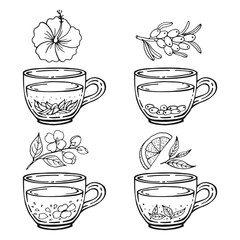 Set glass mugs of tea. Medicinal tea. Hand drawn vector illustration.