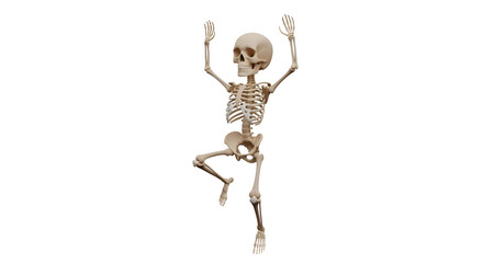 Skeletal model in dynamic raised arms pose on black background
