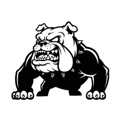 Fototapeta premium A fierce black and white illustration of an aggressive bulldog s head