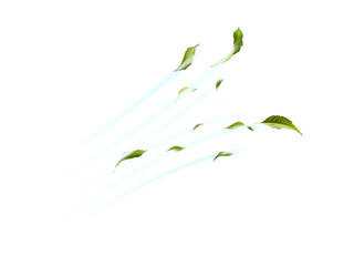 Obraz premium Green Floating Leaves Flying Leaves Green Leaf Dancing, Air Purifier Atmosphere Simple Main Picture.