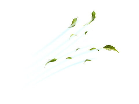 Green Floating Leaves Flying Leaves Green Leaf Dancing, Air Purifier Atmosphere Simple Main Picture.