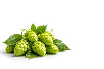 Obraz premium A cluster of fresh hops is displayed on a clean surface. Bright green leaves surround the hops, highlighting their natural shapes. The setting is simple and free of distractions