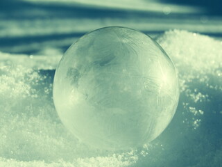 Frozen bubbles in winter