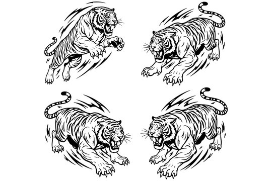 tiger tribal tattoo,
Fighting Tigers Vector Illustration Dynamic Poses