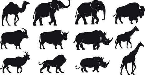 Fototapeta premium A collection of animal silhouettes walking in various directions on a white background silhouette