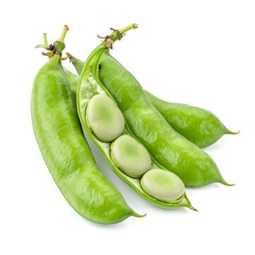 Fresh Broad Beans Isolated on White Background, Vicia faba Green Pod Legume Concept