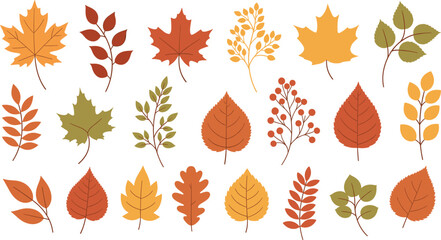 Fototapeta premium Autumn Leaves Collection with Maple, Oak and Various Fall Foliage Isolated on White Background