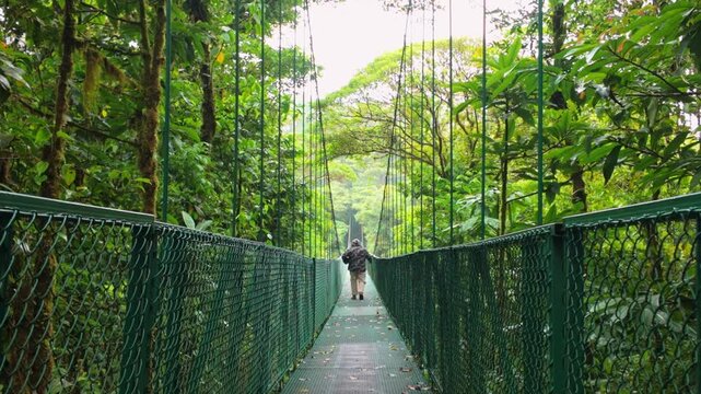 Tourist walking on hanging bridge in monteverde cloud forest