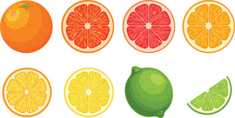 Fototapeta premium Citrus Fruit Collection with Orange, Grapefruit, Lemon and Lime Whole and Sliced Isolated on White Background