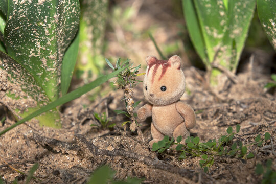 Desorientado en el camino sin saber para donde tirar