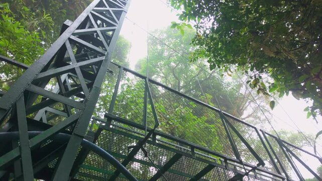 Hanging bridge in monteverde cloud forest costa rica