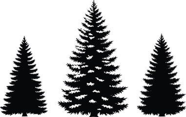 Obraz premium Evergreen trees, pine forest, fir silhouette, nature design, woodland landscape, outdoor scenery, black silhouette, eco symbol, flat vector illustration
