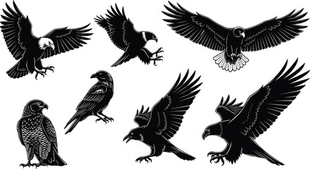 Obraz premium Eagle silhouette collection isolated on white background, flying bird of prey illustration set, powerful wildlife animal outline vector design