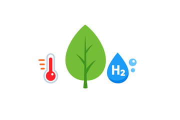 Fototapeta premium Understanding the roles of temperature, water, and plants in the environment and their effects on growth and development in nature during a sunny day