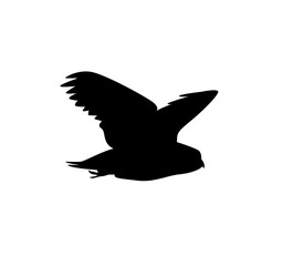 Obraz premium bird silhouette wallpaper