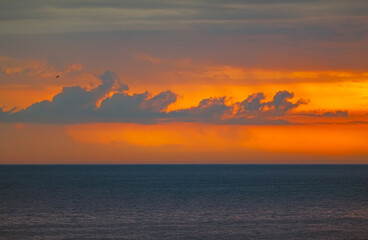Gray Clouds Against an Orange Sky
