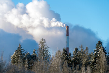 Red-white pipe of a plant with exhaust white smoke against the backdrop of a winter forest. Concept environment, ecology, pollution, industry.