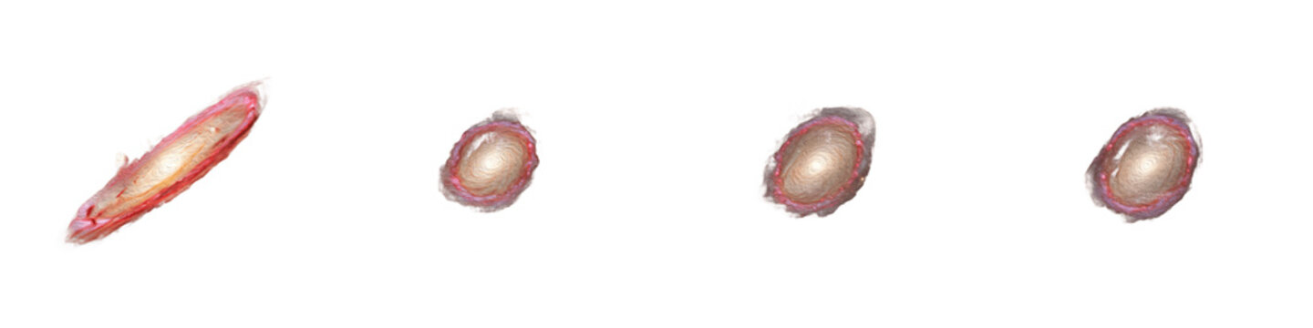 Set of Elliptical Galaxy and Protostar Core Evolutionary Stages, Stellar Formation and Galactic Development, Realistic Space Illustration isolated on white transparent PNG background