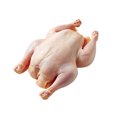 Fototapeta premium A hand holds a fresh raw whole chicken poultry bird isolated on white background, showing uncooked skin and meat as a prime cooking ingredient for a broiler meal or dinner