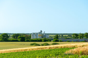 Fototapeta premium Wheat Milling Facility Stands Among Fields and Trees in an Agricultural Area During Sunny Weather, Highlighting the Grain Production Process in the Countryside