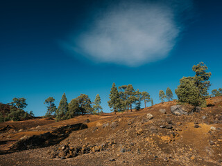 Santiago del Teide, Teneryfa, Wyspy Kanaryjskie, Hiszpania © Rafał Paluszek