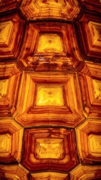 Intricate pattern of a turtle shell featuring geometric shapes with rich brown, amber, and cream tones, resembling layered wood or stone, with a symmetrical, textured appearance
