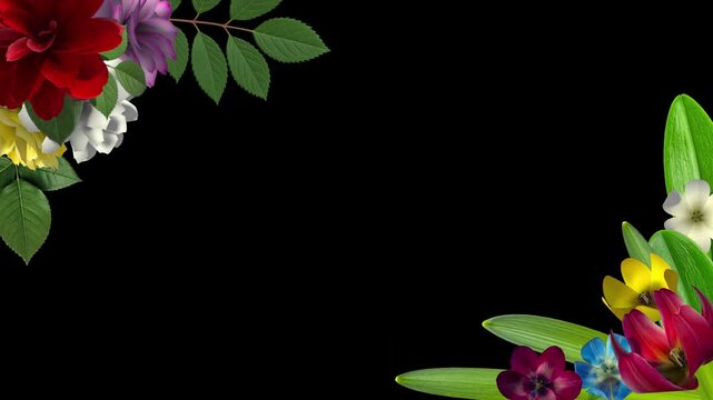 Blooming roses and tulips with growing leaves for compositing on the corners of your videos. Luma matte included.