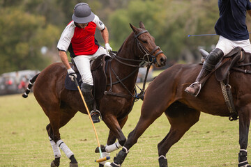 Polo horses, players, workers, tools, gear, equipment, field, sport.