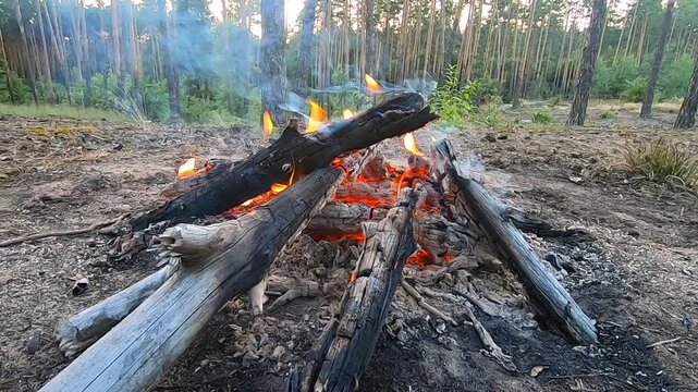 Close-up of a rustic campfire burning in a forest clearing with vibrant flames and smoke. Warm embers glow on the ground surrounded by natural logs and pine trees.
