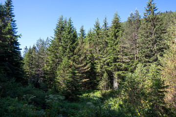 Rila Mountain near Malyovitsa peak, Bulgaria