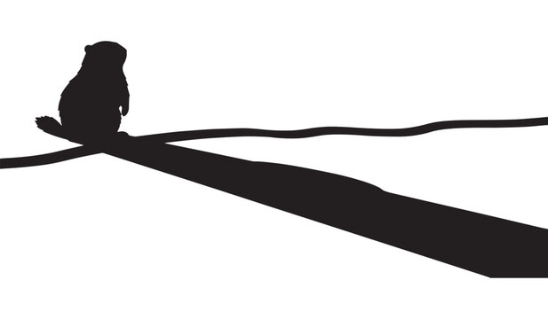 Striking black silhouette of a plump groundhog, a Marmota monax, perched firmly on a thick tree branch with a prominent shadow on a clean white background, isolated.