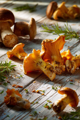 Fresh wild mushrooms on rustic wooden table with herbs. Autumn harvest, forest food, organic ingredients, and gourmet cooking concept.