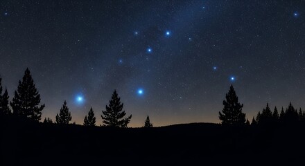 Night Sky Silhouette Stars over Trees, Constellation, Nature Landscape