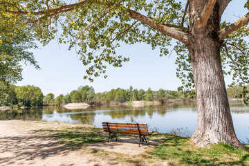 Obraz premium Tree and wooden bench near the Ardas river, Evros Greece near to the Greek Turkish borders, drought problem during spring or summer period, lack of water