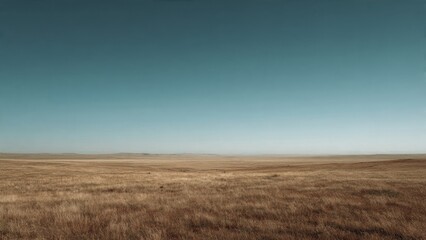Fototapeta premium Open Grassland Under a Clear Sky