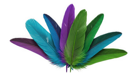Obraz premium Vibrant feathers in a bouquet isolated on transparent background